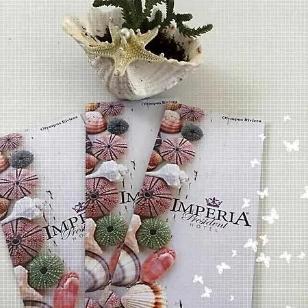 Imperia President *